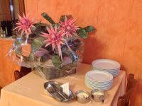 Trattoria02